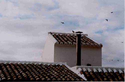 Espejo, un pueblo de Cordoba